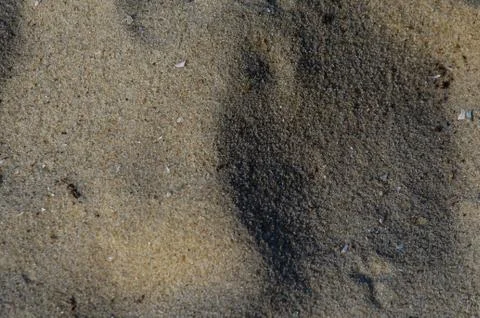 Background of the yellow sand Foto stock