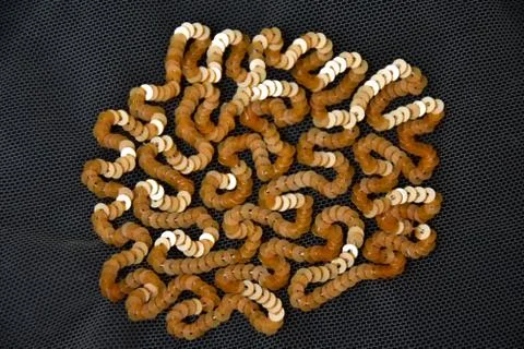 Background yellow sequin Stock Photos