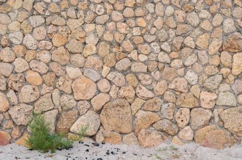 Background of yellow shellfish Stock Photos