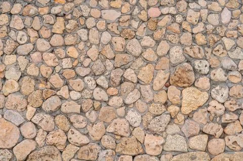 Background of yellow shellfish Stock Photos