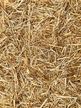 Background - yellow straw. Stock Photos