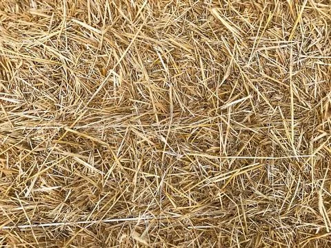 Background - yellow straw. Stock Photos