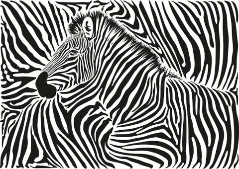 Background with a zebra motif Stock Illustration