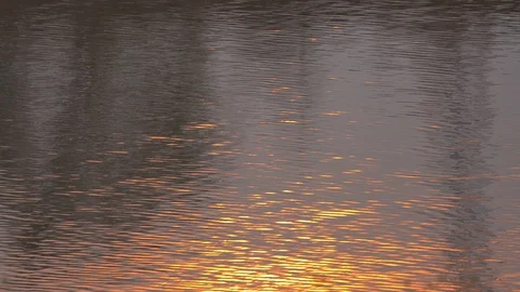 Background6 Stock Footage 127862589