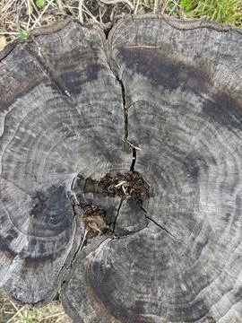 Backgrounds and textures Stock Photos