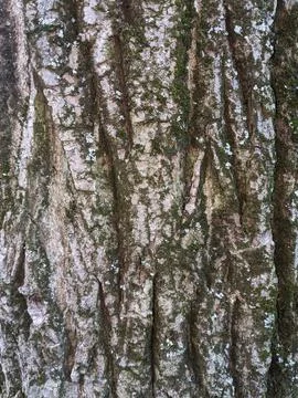 Backgrounds and textures Stock Photos