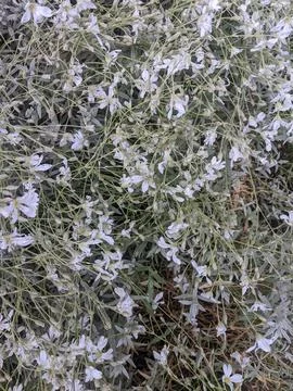 Backgrounds and textures Stockfoto's