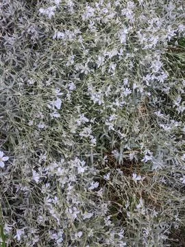 Backgrounds and textures Stock Photos