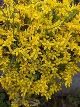 Backgrounds and textures Stock Photos