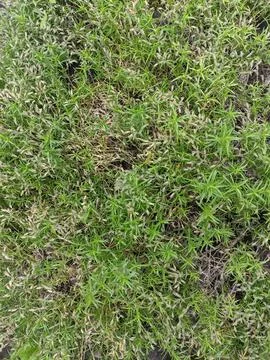 Backgrounds and textures Stock Photos