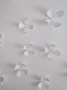 Backgrounds and textures Stock Photos