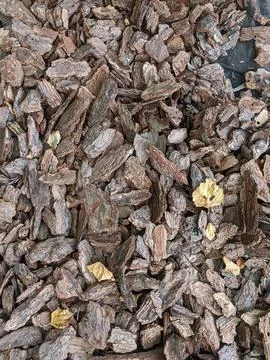 Backgrounds and textures Stock Photos