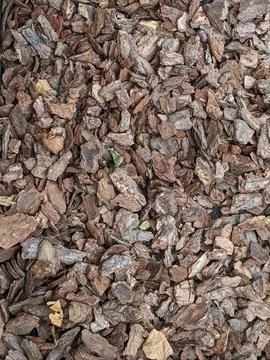 Backgrounds and textures Stock Photos