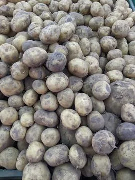 Backgrounds and textures Stock Photos