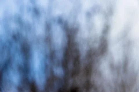 Backgrounds of bare tree branches out of focus in cold colors Stock Photos