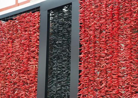 Backgrounds. Drying chili pepper in a row. Ornamental Stock Photos