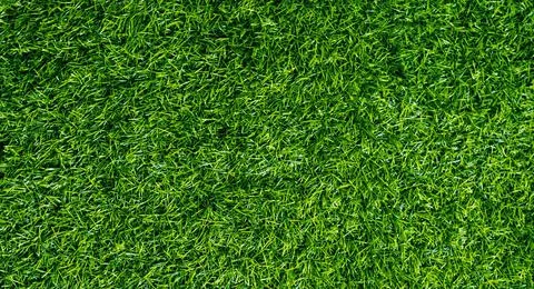 Backgrounds. Graphic pattern for fabric, wallpaper, packaging.   Done Stock Illustration