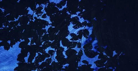 Backgrounds. Graphic pattern for fabric, wallpaper, packaging. Stock Illustration