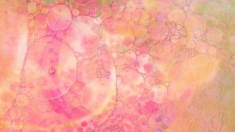 Backgrounds. Graphic pattern for fabric, wallpaper, packaging. イラスト素材