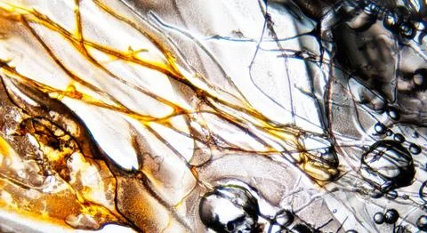 Backgrounds. Graphic pattern for fabric, wallpaper, packaging. イラスト素材