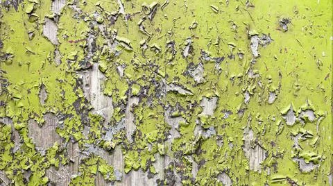 Backgrounds. Graphic pattern for fabric, wallpaper, packaging. Illustrazione stock