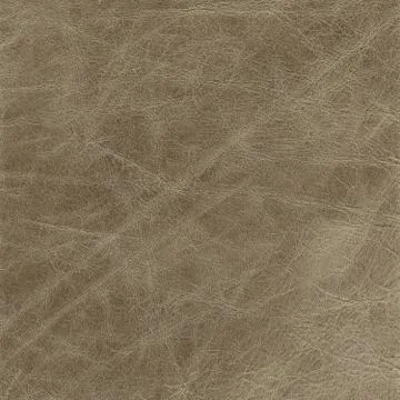 Backgrounds of leather texture Stock Photos