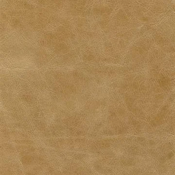 Backgrounds of leather texture Stock Photos