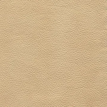Backgrounds of leather texture Fotos de archivo
