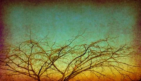 Backgrounds Stock Photos