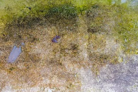 Backgrounds Stock Photos