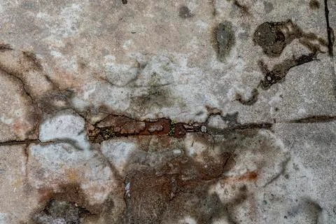 Backgrounds Stock Photos