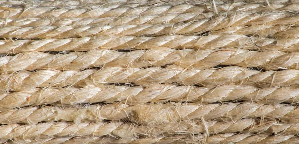 Backgrounds Stock Photos