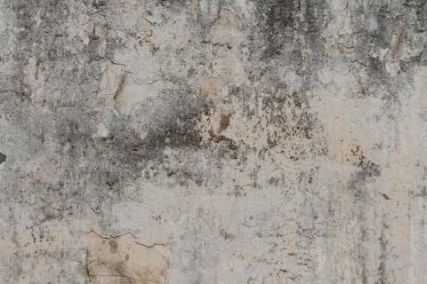 Backgrounds Stock Photos