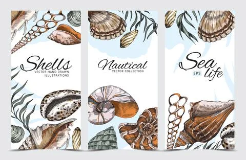 Backgrounds set with hand drawn sea shells, engraving color vector illustration. Illustrazione stock