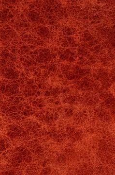 Backgroung Stock Illustration