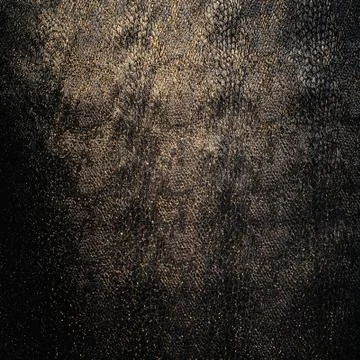 Backgroung Stock Photos