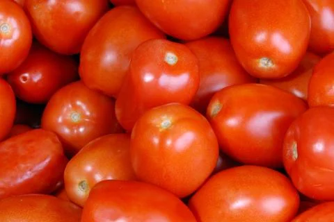 Backgroung of tomatoes Stock Photos