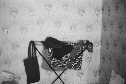 Backhippy Foto stock