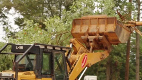 Backhoe Clearing Forested Land Stock Footage 81751795