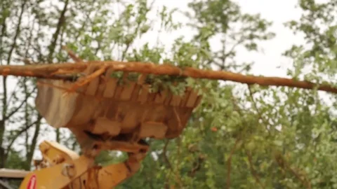 Backhoe Clearing Land Stock Footage 81750940