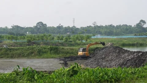Backhoe loader 库存影片 342282383