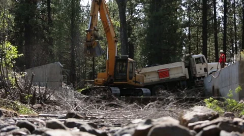 Backhoe moving rock and dirt in forest Stock Footage 51597433