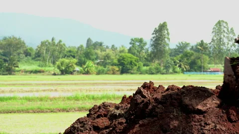 Backhoe or excavator working on land of countryside, excavator dig soil in field Stock Footage 158492857