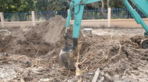 Backhoe root 스톡 동영상 50223491