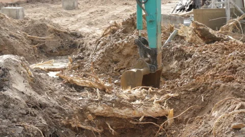 Backhoe root 스톡 동영상 50228062