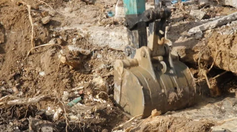 Backhoe root 스톡 동영상 50261449