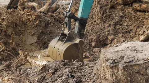 Backhoe root 스톡 동영상 50380720