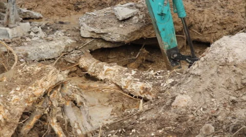 Backhoe root 스톡 동영상 50480738