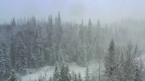 Backing Up in a Forest During a Heavy Blizzard Vídeo Stock 134582812