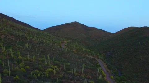 Backing pull shot over saguaro cactus at sunset.mp4 Stock Footage 54259520